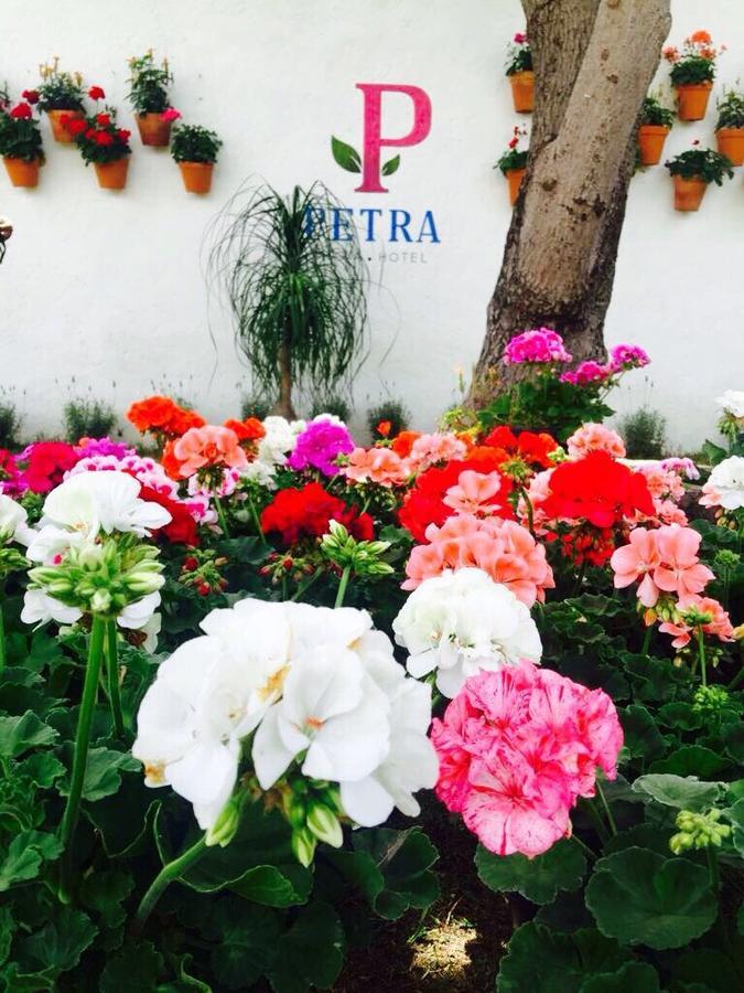 Hotel Petra San Miguel de Allende Ngoại thất bức ảnh